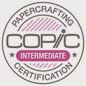 Copic Intermediate Certification