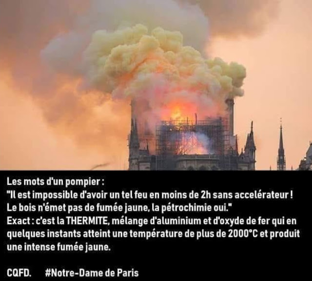 Notre Dame de Paris en flammes  - Page 6 IMG_55211