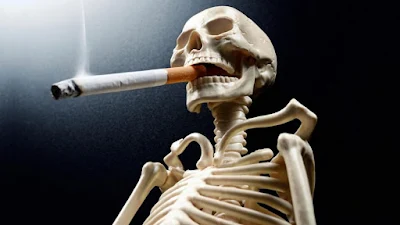 50 Percent of Death from 12 Types of Cancer, the Cause is Smoking