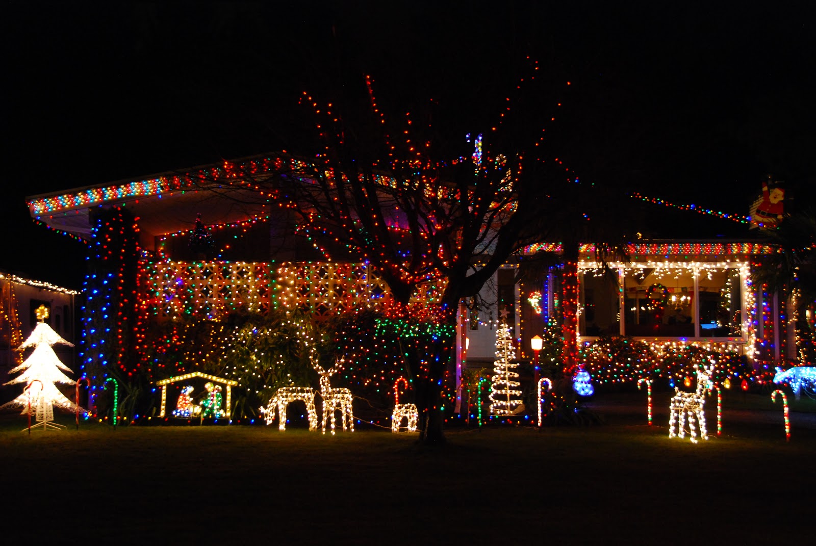 Dew Drops Christmas Lights Displays