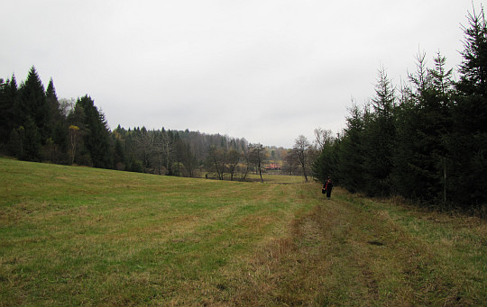 Wchodzimy w dolinę potoku Zawoja. Z tyłu widać dom w Krzywej.