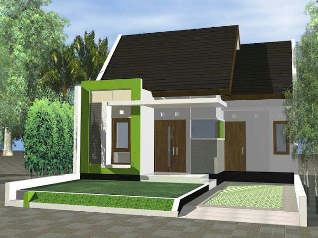 simple village house design picture