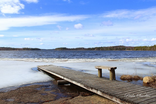 Kalmusaaren laituri