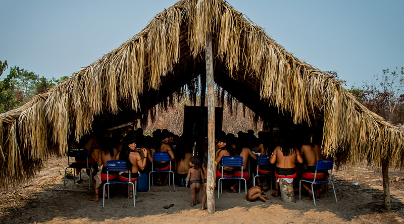 Ministério Público denuncia 5 invasores de terra indígena por crime ambiental no Pará