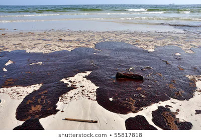oil spills,oil spills keystone pipeline,oil spills in the ocean,oil spills into ocean,oil spills ocean,oil spills on ocean,oil spills hair,ocean oil spills,oil spills in ocean,how are oil spills cleaned,oil spills clean,how oil spills are cleaned,how to clean oil spills,oil spills 2010,oil spills in north dakota,exxon oil spills,santa barbara oil spills,facts on oil spills,the effects of oil spills,effect of oil spills,effects of oil spills,oil spills effects,oil spills animals,oil spills on animals,oil spills kit,clean up oil spills,cleaning up oil spills,facts oil spills,largest oil spills,oil spills in california,cleaning up oil spills on driveway,booms for oil spills,what are oil spills,what is oil spills,oil spills facts,facts about oil spills,oil spills recent,recent oil spills,oil spills from pipelines,oil spills in the united states,oil spills us,us oil spills