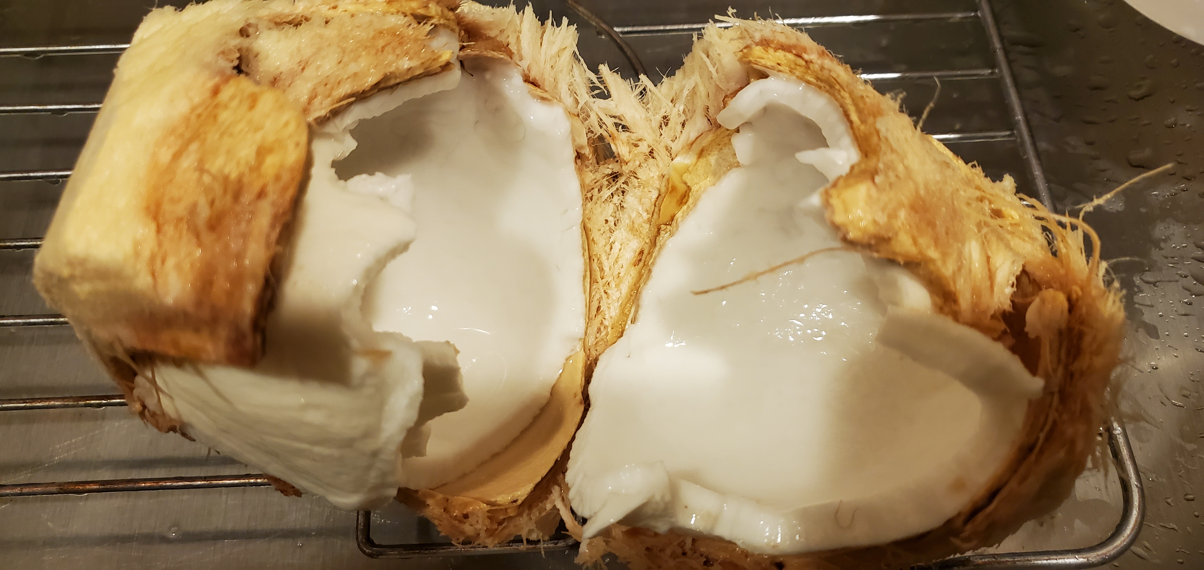 Let's Rock Like da Vinci Cook Away! Homemade Fresh Shredded Coconut