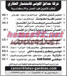 وظائف خالية من جريدة الاهرام الجمعة 14-08-2015 %25D9%2588%25D8%25B8%25D8%25A7%25D8%25A6%25D9%2581%2B%25D8%25B4%25D8%25B1%25D9%2583%25D8%25A9%2B%25D8%25A7%25D9%2584%25D9%2584%25D9%2588%25D8%25AA%25D8%25B3%2B%25D9%2584%25D9%2584%25D8%25A7%25D8%25B3%25D8%25AA%25D8%25AB%25D9%2585%25D8%25A7%25D8%25B1%2B%25D8%25A7%25D9%2584%25D8%25B9%25D9%2582%25D8%25A7%25D8%25B1%25D9%2589