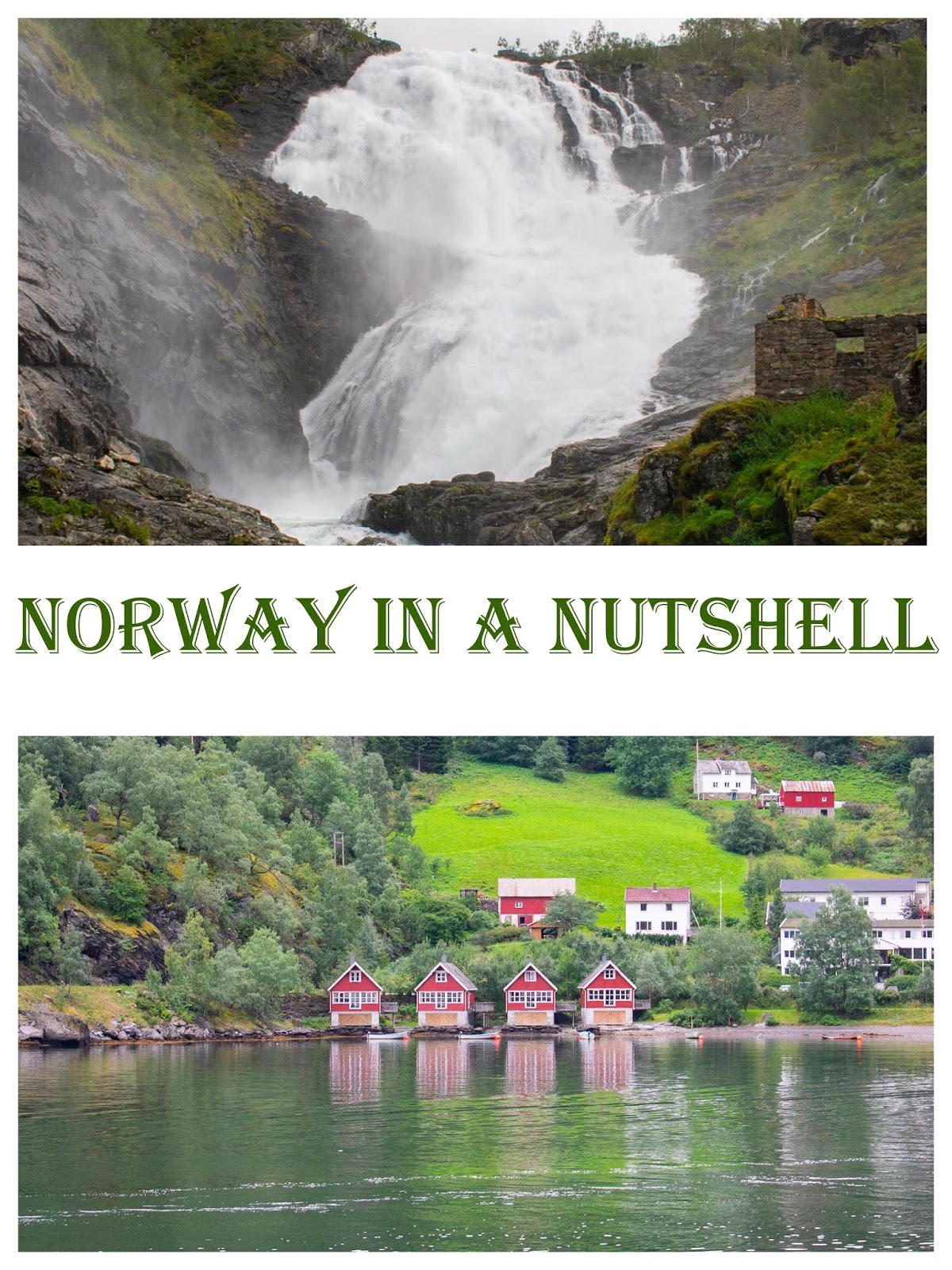 -Norway in a Nutshell Tour: Pros and Cons- | Where we truly belong