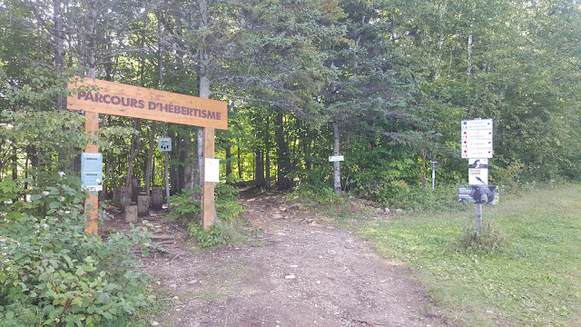 Sentier Les Pionniers vers le sommet du mont Sainte-Anne