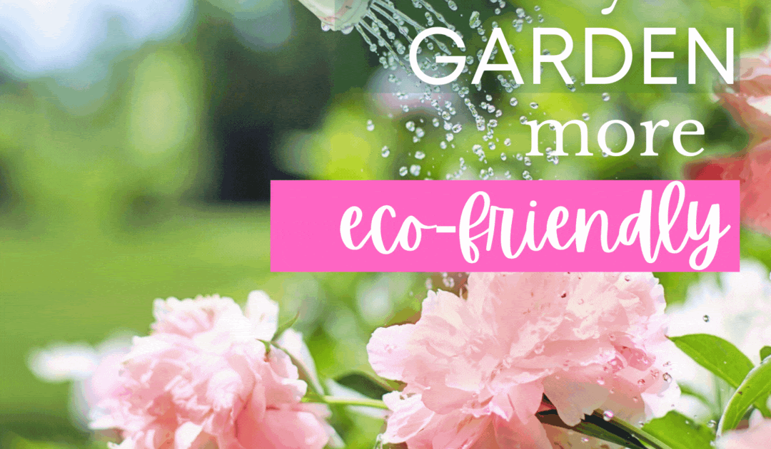 5 Ways to Make Your Garden More Eco-Friendly