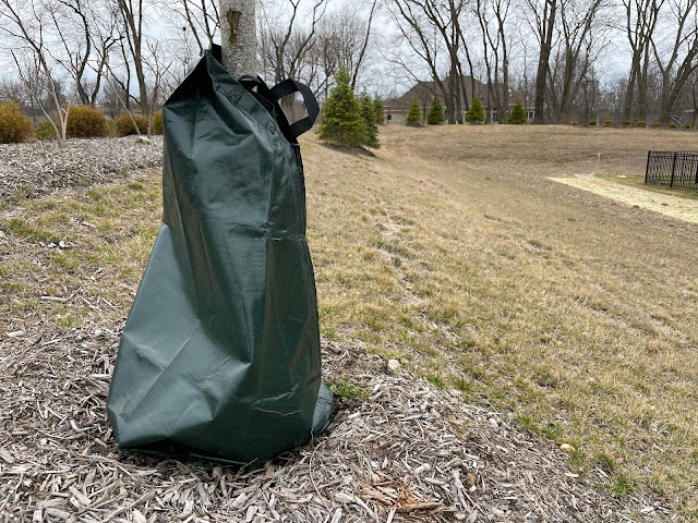 green bag on tree to water
