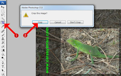 gambar misalnya ukuran gambar terlalu besar Cara Croping Foto di Adobe Photoshop CS3/CS4/CS5/CS6