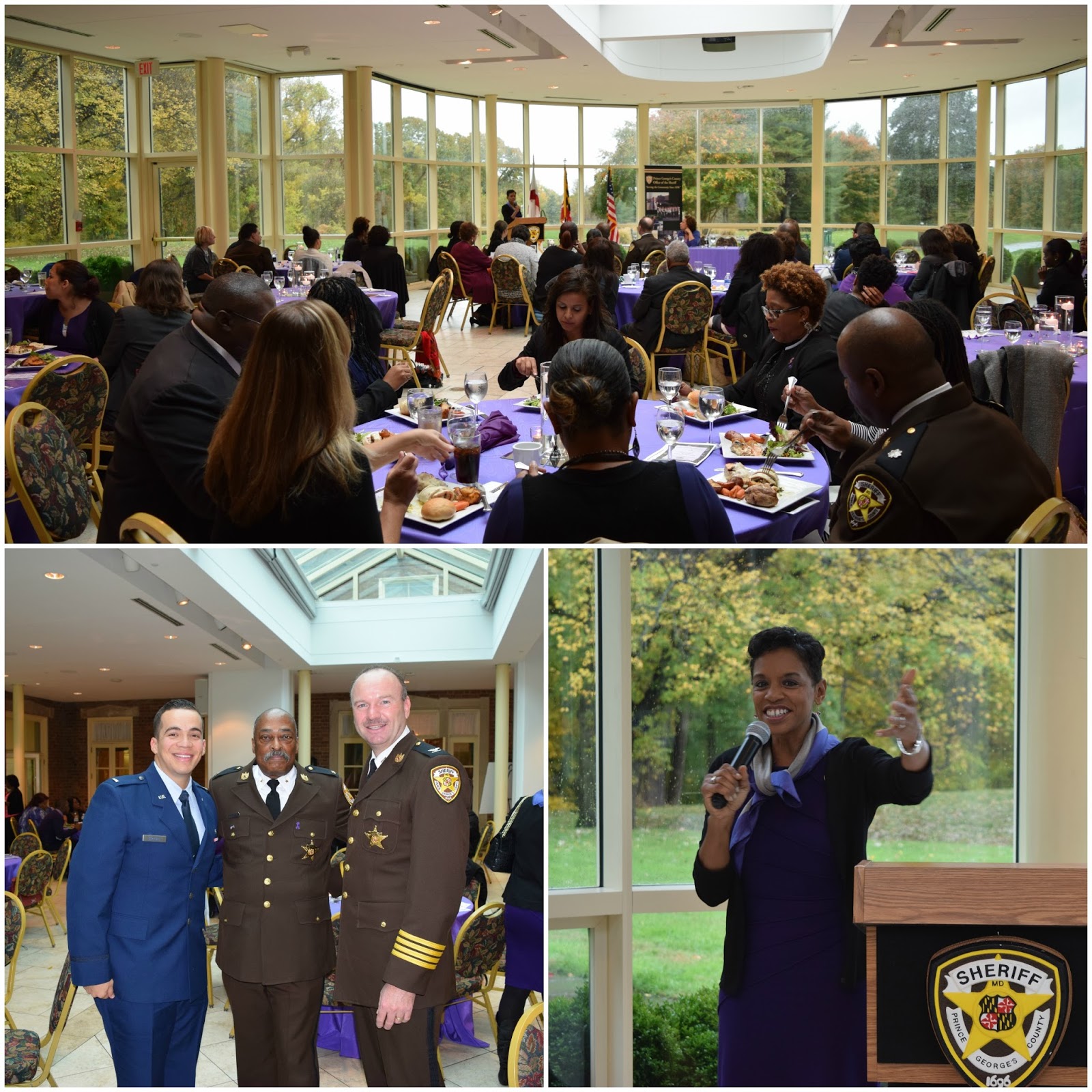 PRINCE COUNTY OFFICE OF THE SHERIFF Domestic Violence