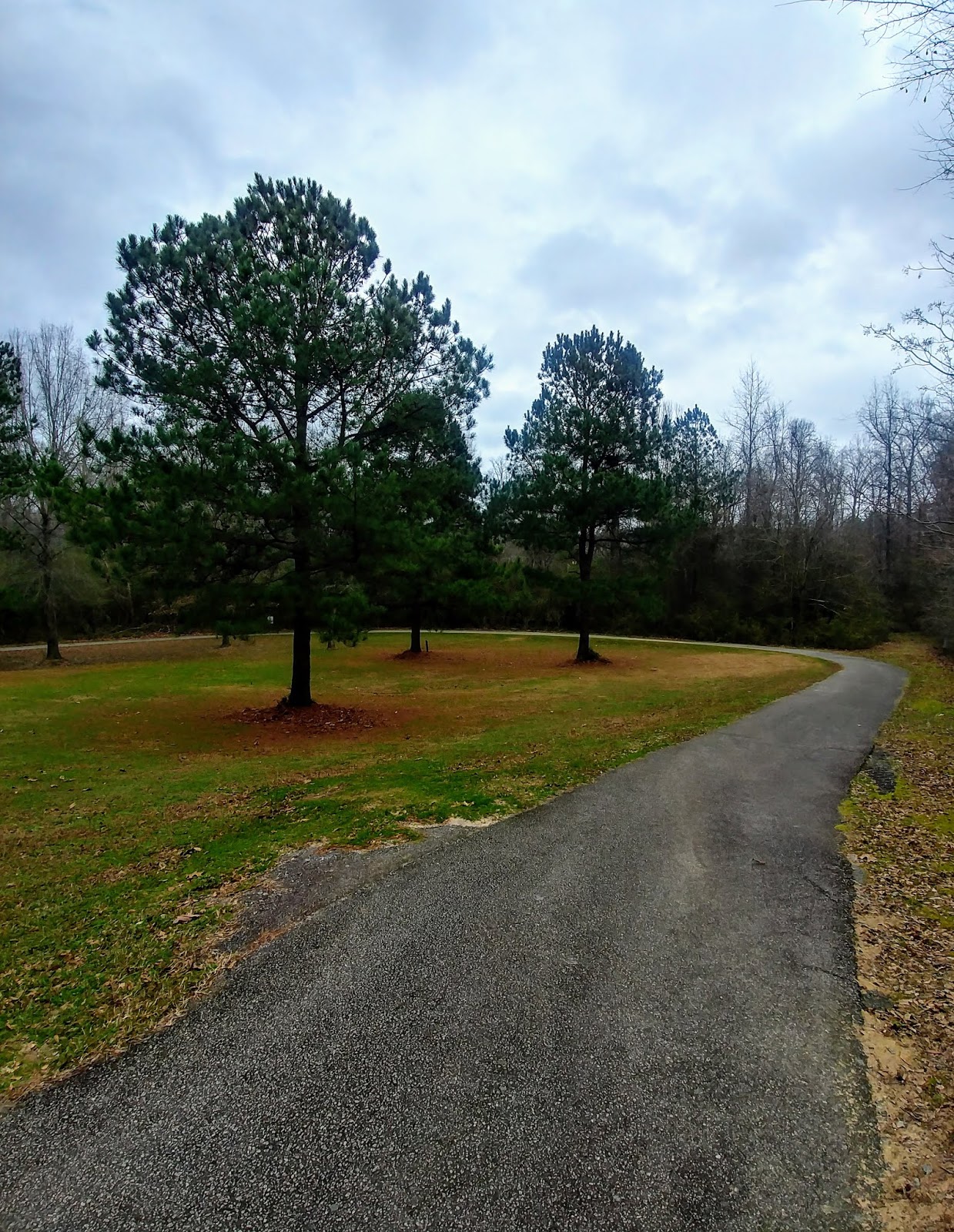 Another Mile Another Destination Blog Grovetown Trails at Euchee Creek