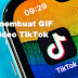 Cara membuat GIF dari video TikTok, begini caranya