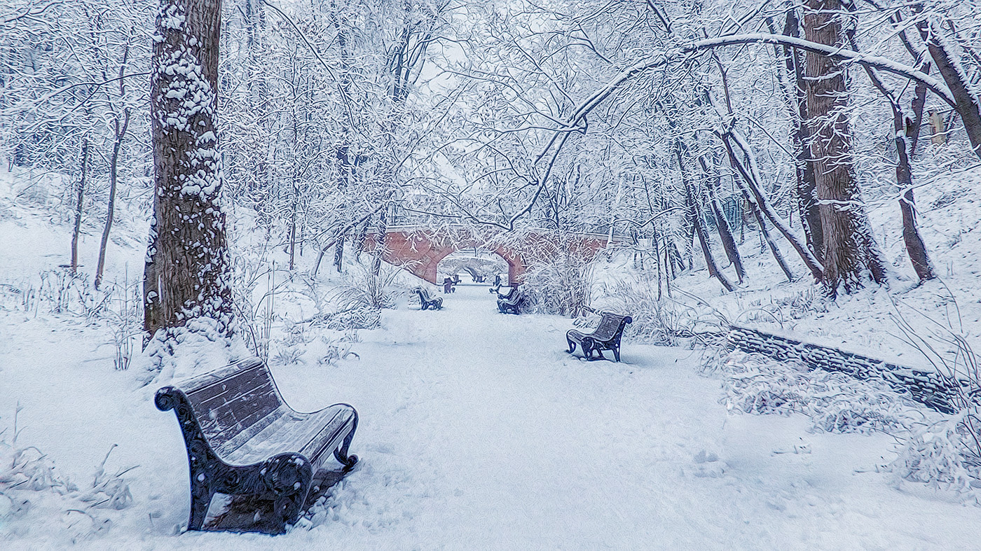 Нескучный сад зимой. Фото пейзаж зима в Воронеже с падающим снегом. Жека плавно падает снег. Падает снег korg