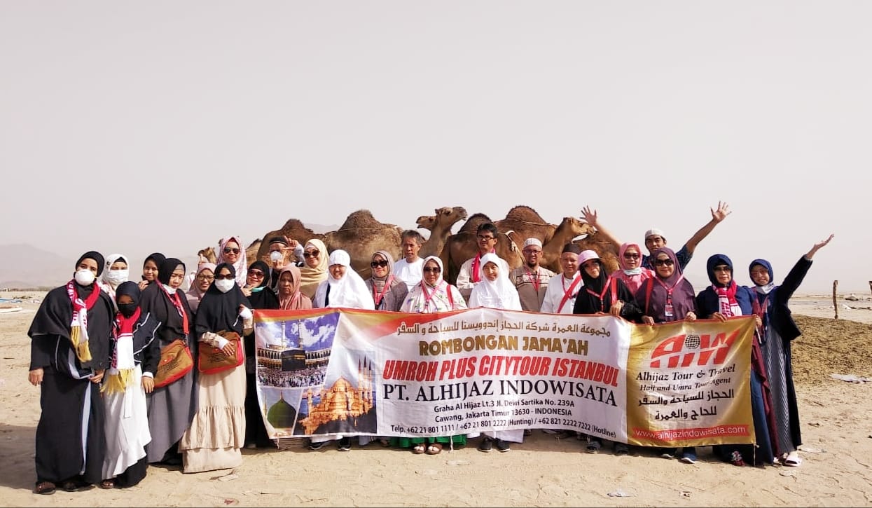 cerita pengalaman saya berkunjung ke peternakan unta camel farm di hudaibiyah arab saudi umroh alhijaz indowisata nurul sufitri travel lifestyle blogger review