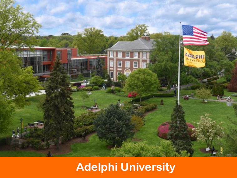 Adelphi university test-optional picture