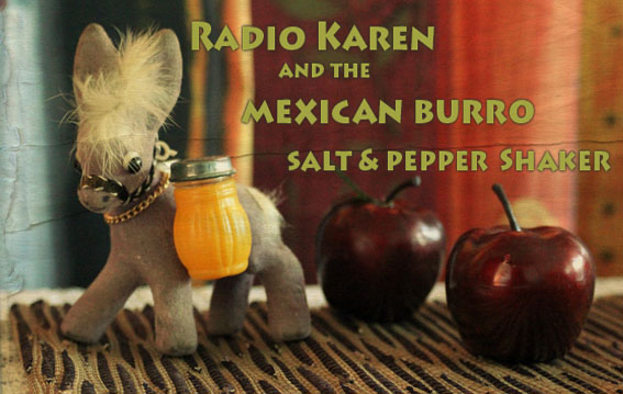 Radio Karen and the Mexican Burro Salt & Pepper Shaker