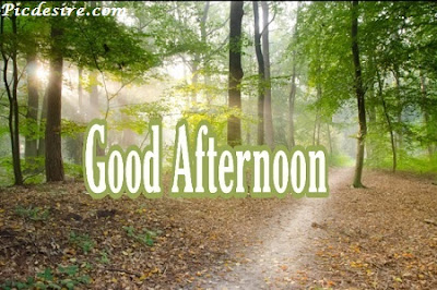 Best 50 Good Afternoon Images 2020 || Good Afternoon Images for Whatsapp Best 50 Good Afternoon Images 2020 || Good Afternoon Images for Whatsapp