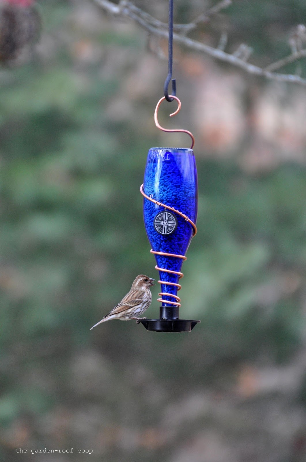 Rebecca's Bird Gardens Blog: DIY Glass Bottle Bird-Feeders