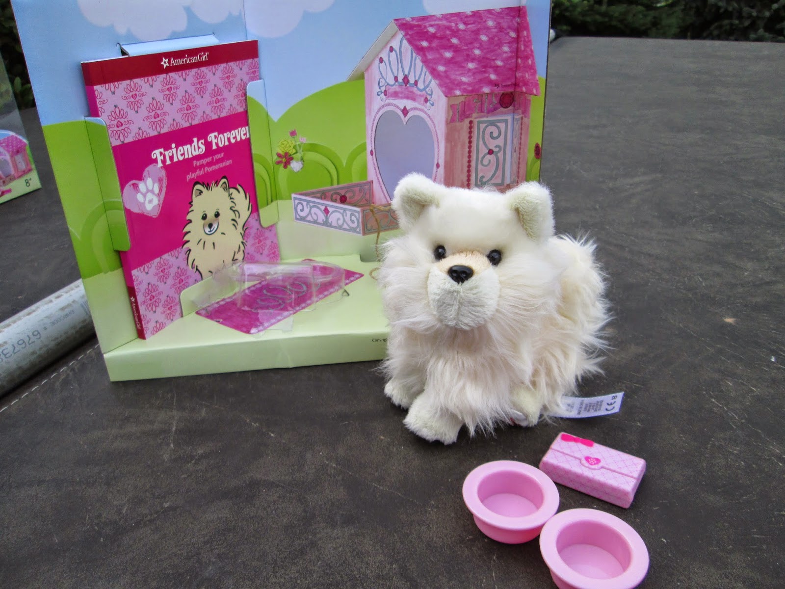 american girl pomeranian