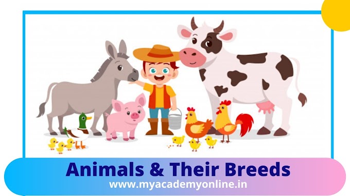List of animals breeds | Cattle breeds | Breeds of Cow, Buffalo, Goat