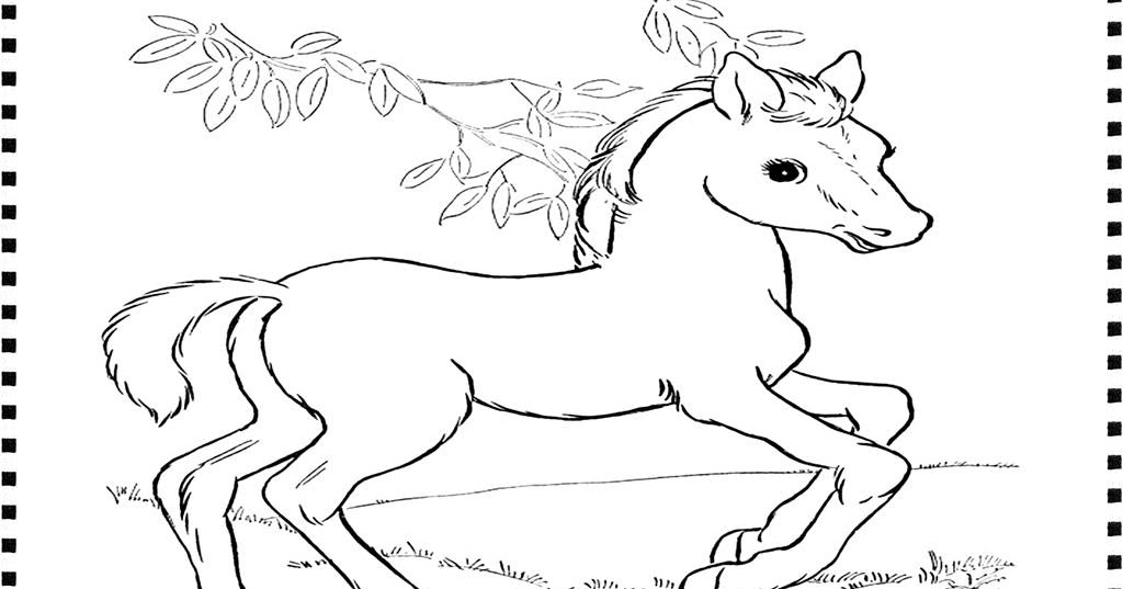 gambar kuda mewarnai anak