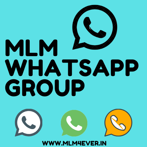 Flywings business plan 08 image