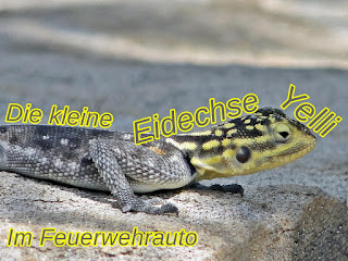  Die kleine Eidechse Yelli - Im Feuerwehrauto