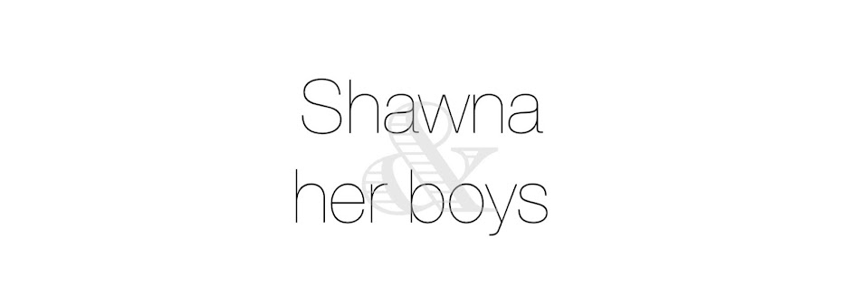 Shawna & Her Boys