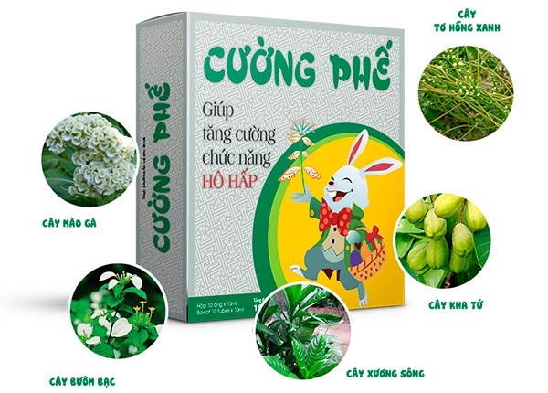 Trị ho Cường phế – Combo 10 hộp