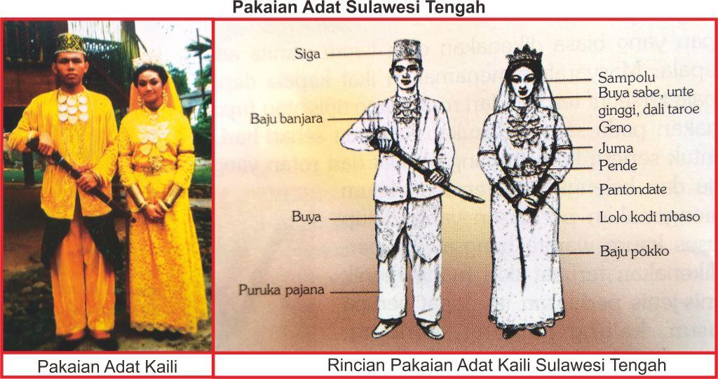 Pakaian Adat Sulawesi  Tengah Lengkap Gambar  dan 