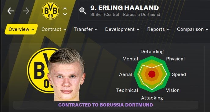 Football Manager 2021 Erling Haaland Fm21 Fm Blog