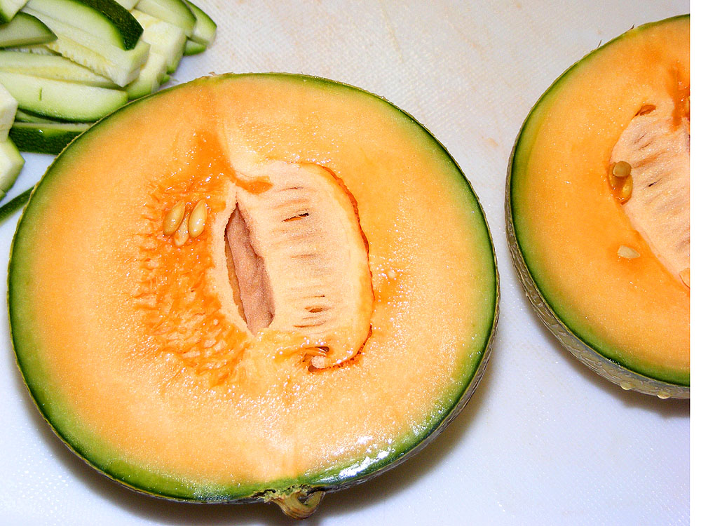 Loire Valley Time Travel You Must Try the Melon in the Loire Valley