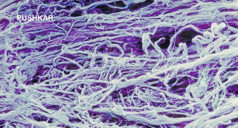 КОЛЛАГЕН ДЛЯ БОЛЕЕ ГЛАДКОЙ КОЖИ И КРЕПКИХ НОГТЕЙ.