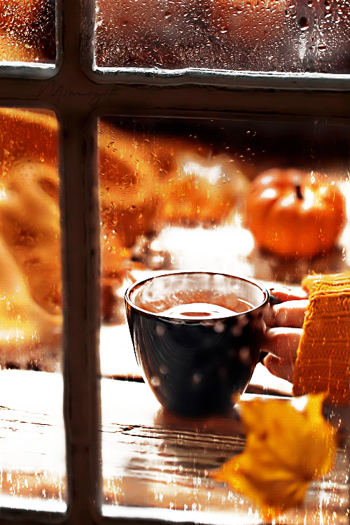 andi autumn gif andi autumn gif