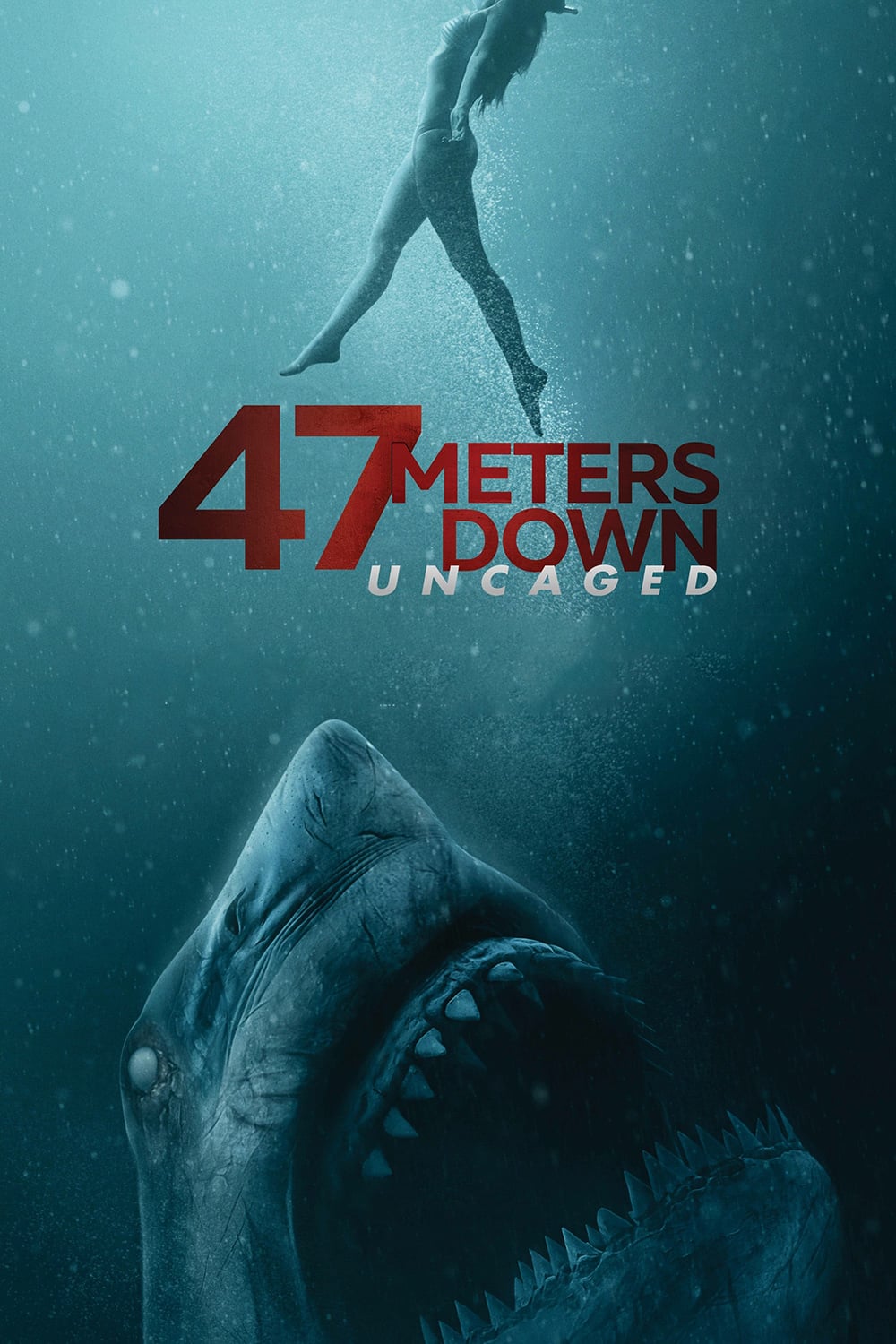Terror A 47 Metros El Segundo Ataque (2019) DvdRip Latino CYBER DESCARGAS FULL MEGA Terror A 47 Metros El Segundo Ataque (2019) DvdRip Latino CYBER DESCARGAS FULL MEGA