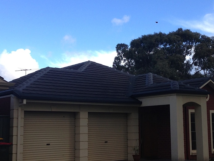 Local Roof Care Adelaide The Best Roof Restoration and Roofing Tips Adelaide