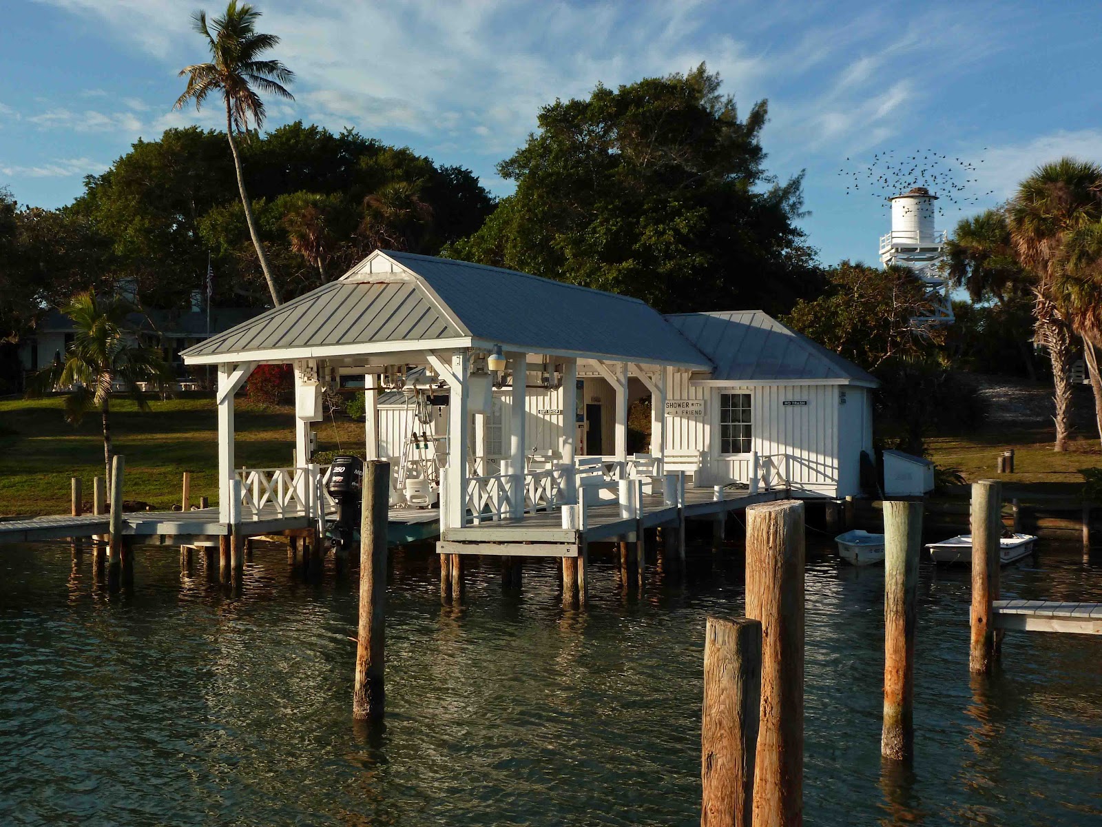 Last Dance Cabbage Key