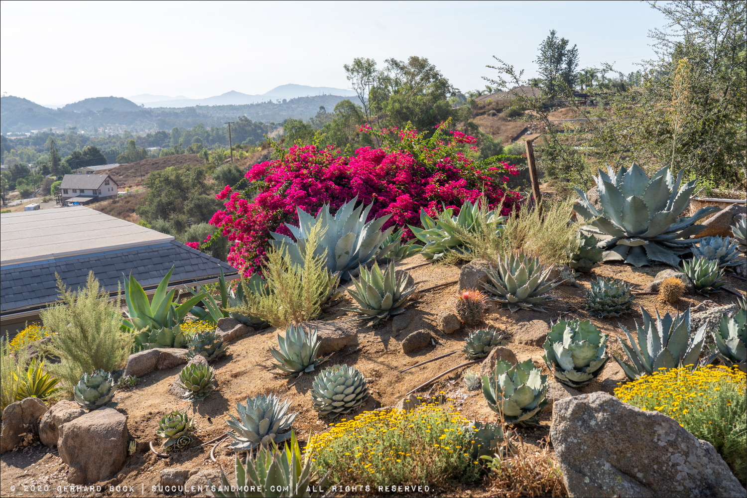 Jeremy Spath's Hidden Agave Ranch the grounds