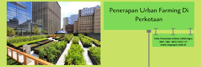 urban farming,pertanian,budidaya tanaman,lmga agro