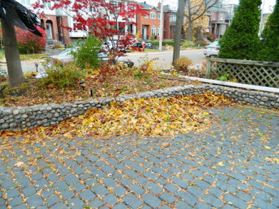 Toronto Bedford Park Fall Cleanup Front Before by Paul Jung Gardening Services--a Toronto Gardening Company Toronto Bedford Park Fall Cleanup Front Before by Paul Jung Gardening Services--a Toronto Gardening Company