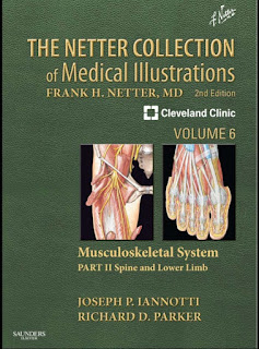 The Netter Collection of Medical Illustrations – Musculoskeletal System, Volume 6, Part II 2nd Edition The Netter Collection of Medical Illustrations – Musculoskeletal System, Volume 6, Part II 2nd Edition