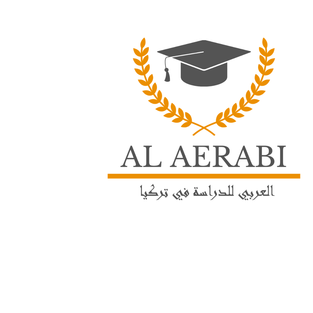 العربي للدراسة في تركيا