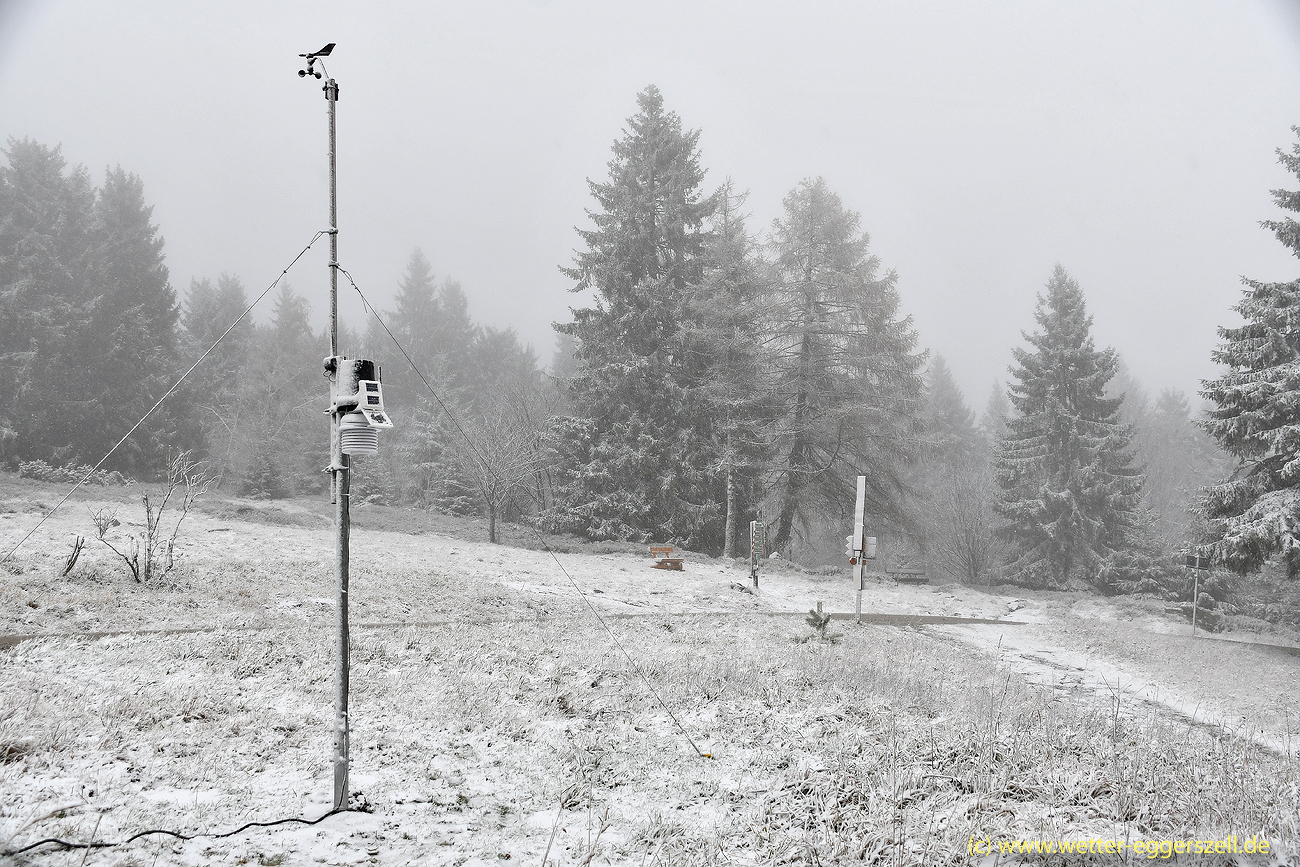 The Bavarian Forest Vdudesv