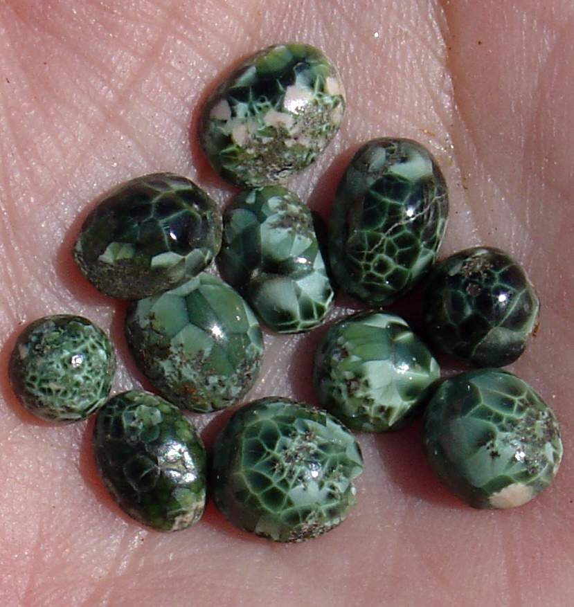 Chlorastrolite Michigan's Striking State Gemstone