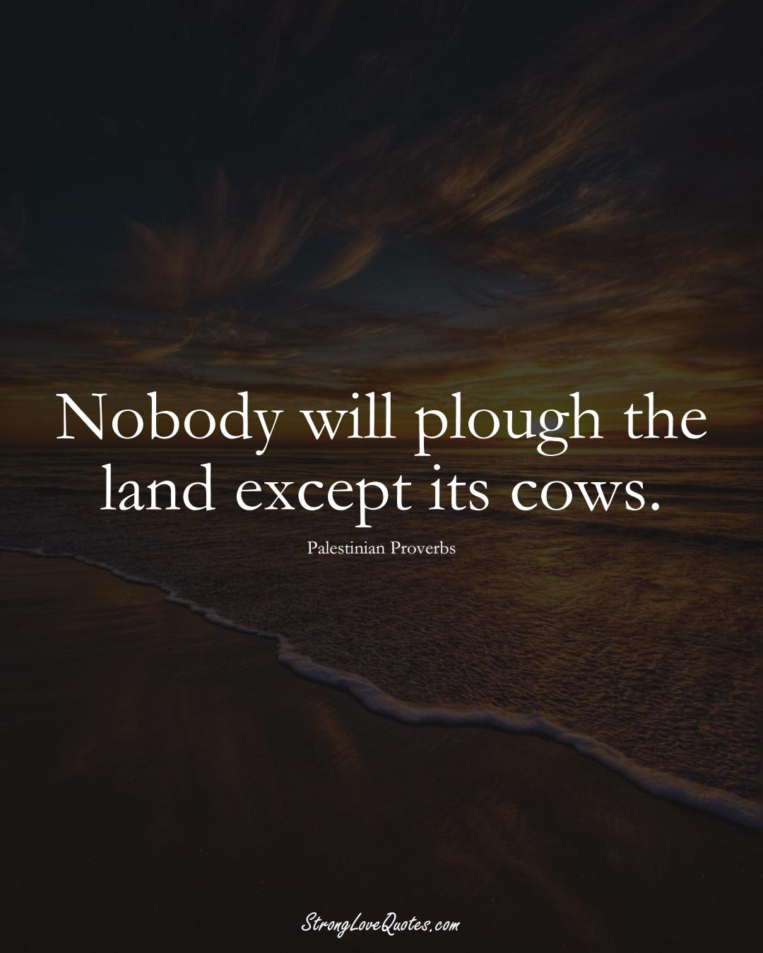 Nobody will plough the land except its cows. (Palestinian Sayings);  #MiddleEasternSayings