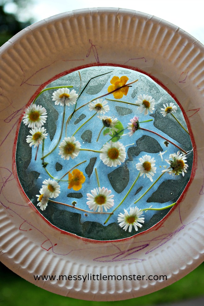 Flower Suncatcher - A Beautiful Kids Craft using Real Flowers - Messy