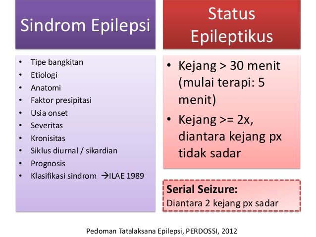 Status Epileptikus ~ Panduan Praktik Klinis Bagi Dokter